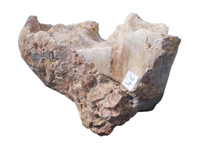 Findling QUIRINUS Nr. 46 mit Quellbohrung, Kalksteinfindling gelb-rose