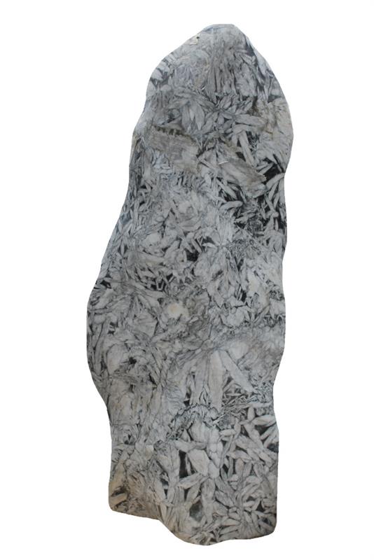 Arktis Fossil Nr.3, Gewicht ca. 78 kg